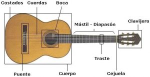 Esquema de las partes de una guitarra